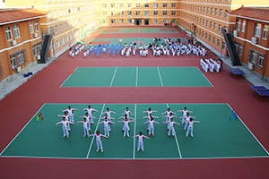 北京東方紅學(xué)校國(guó)際高中入學(xué)條件