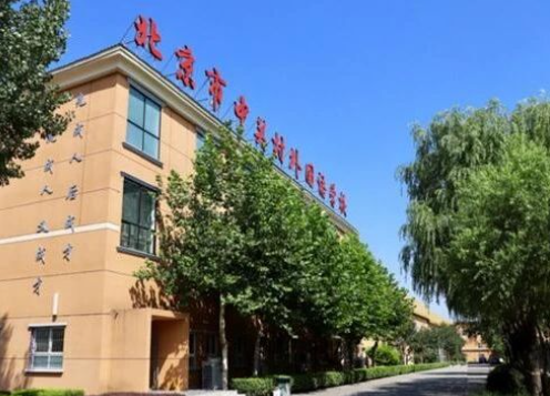 北京市中關(guān)村外國語學校2023年學費標準