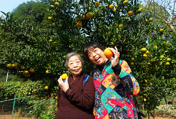 關(guān)懷常在，最暖重陽(yáng)——學(xué)校組織離退休教職工秋游活動(dòng)