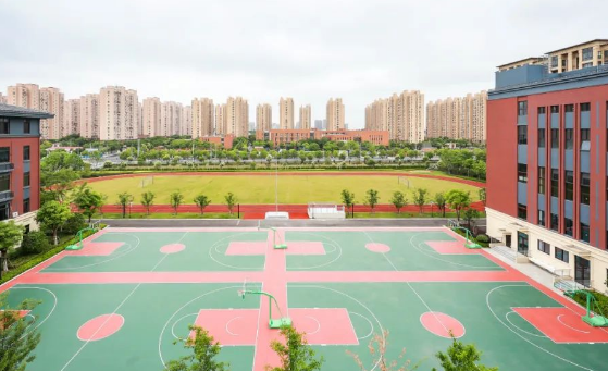 上海民辦行中中學(xué)國際部2025年招生簡章