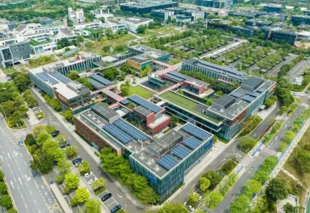 2025年深圳灣國際藝術(shù)教育招生學費、招生對象、招生年級