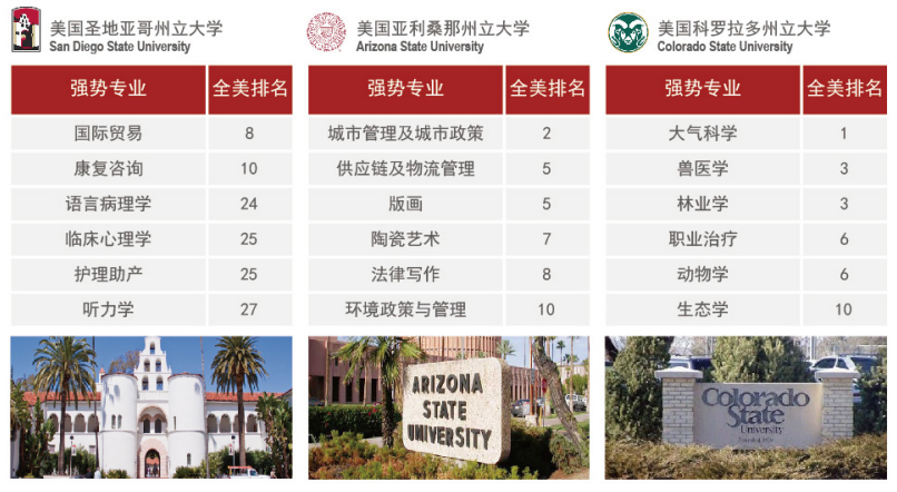 廣州象賢中學國際部有哪些升學項目？
