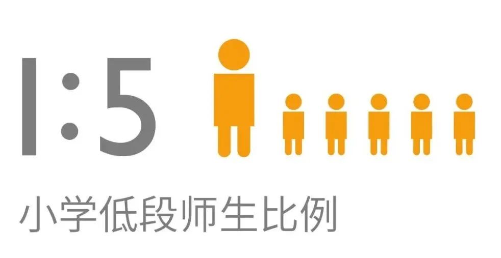杭州惠立學(xué)校招生課程介紹