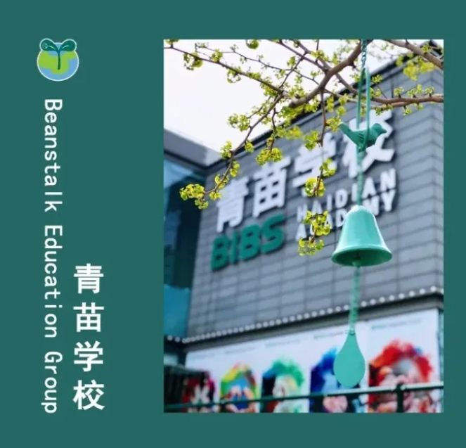北京青苗學(xué)校國(guó)際部招生簡(jiǎn)章