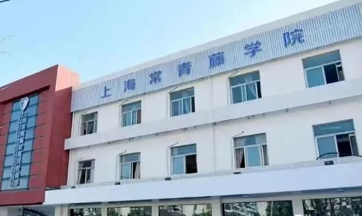 上海常青藤學(xué)校招生對象及入學(xué)步驟