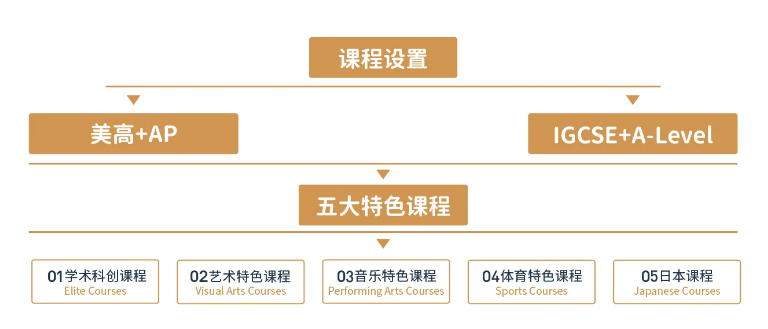 上海諾美學(xué)校日本SGU項(xiàng)目2025年招生簡(jiǎn)章！