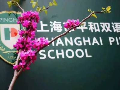 上海市青浦平和雙語(yǔ)學(xué)校報(bào)名中