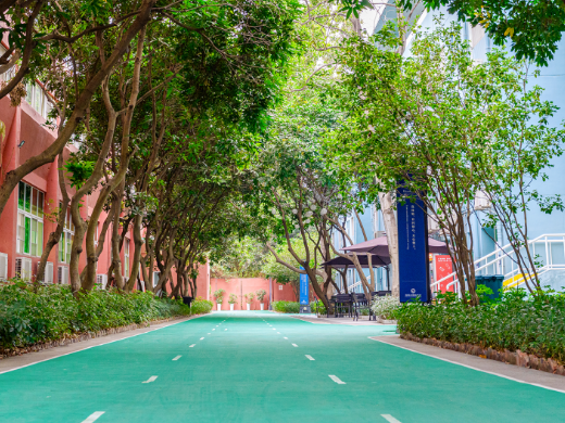 深圳市博納學(xué)校HKDSE2025招生簡章