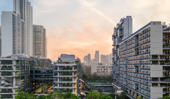深圳國際交流學院(深國交) 招生范圍