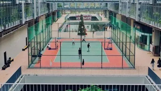 2024年深圳國際交流學院基本招生信息