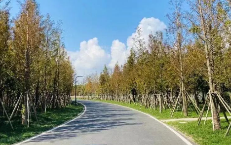蘇州中加楓華學(xué)校國(guó)際課程介紹