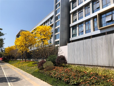 深圳市華朗學(xué)校